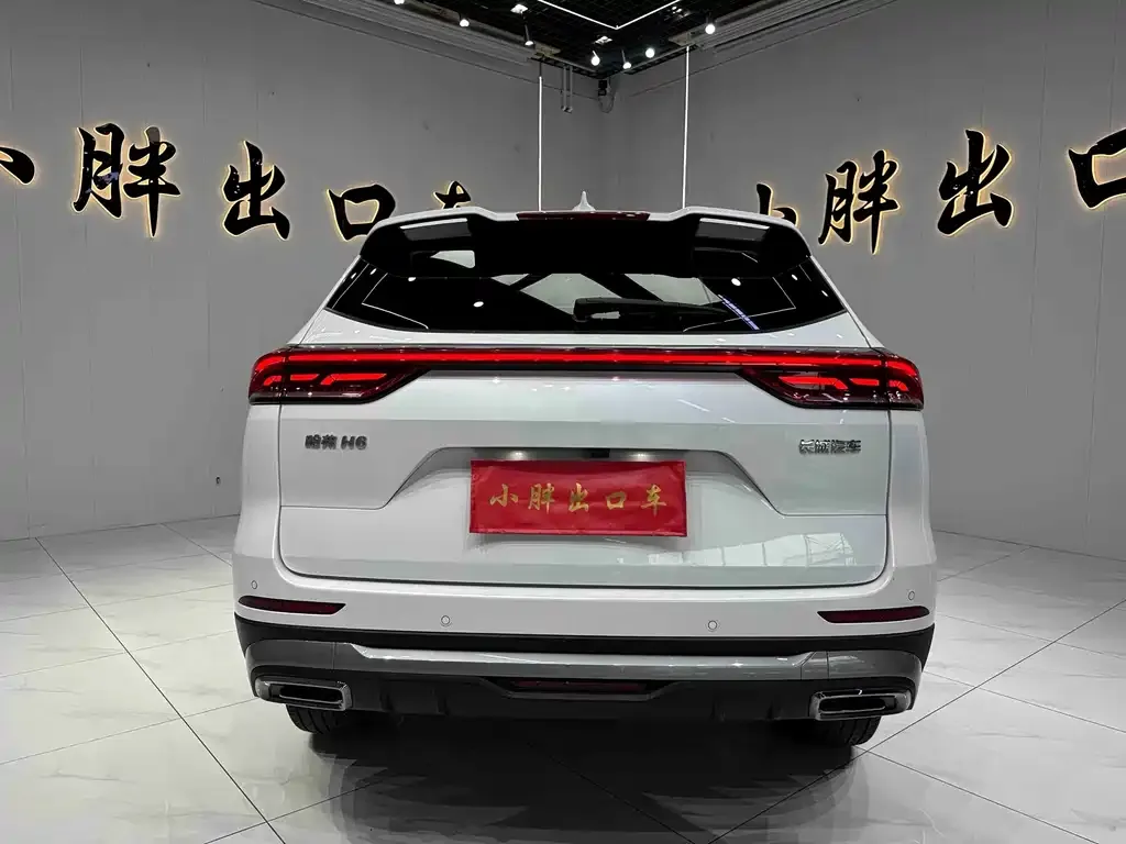 Haval H6 — фото 3