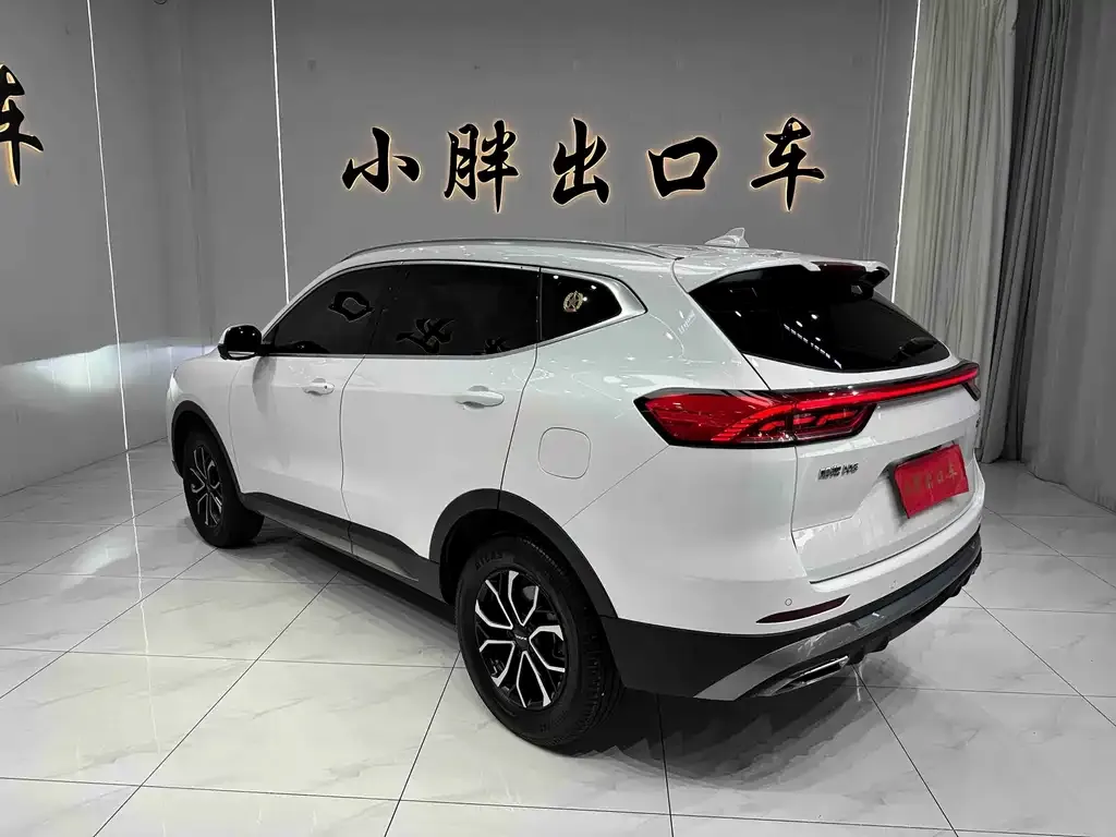 Haval H6 — фото 10