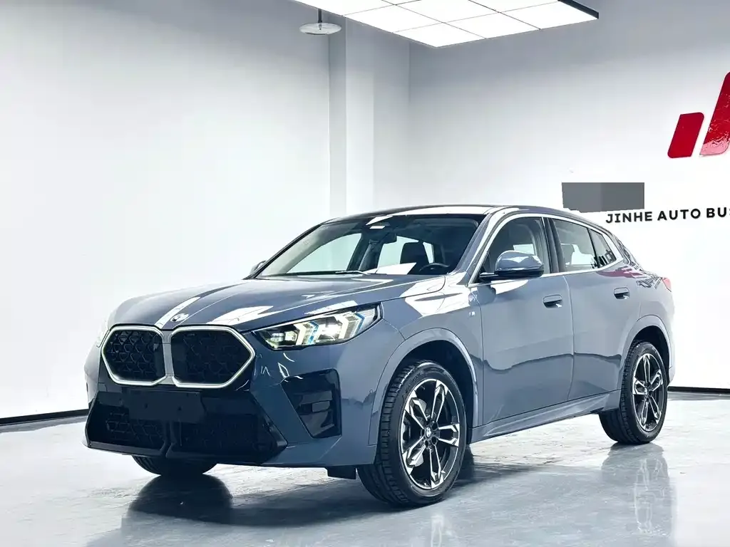 BMW X2 (Import) — фото 1