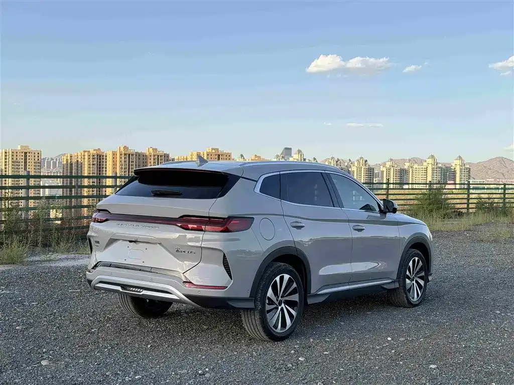 BYD PLUS New Energy — фото 7