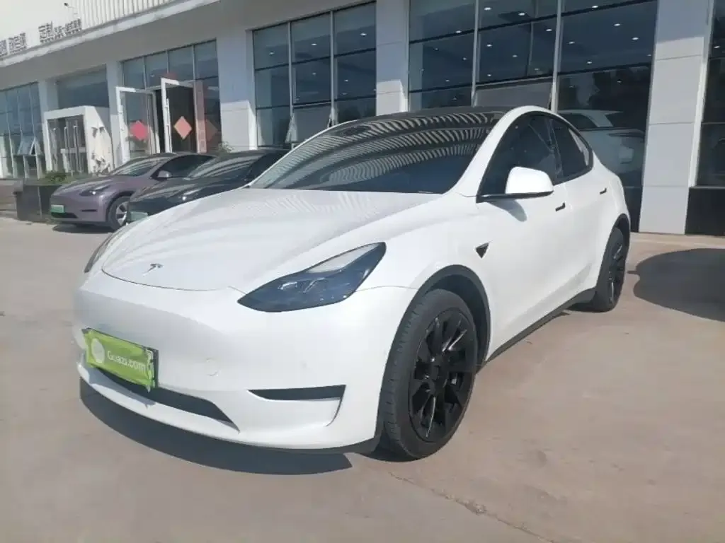 Tesla Model Y — фото 1