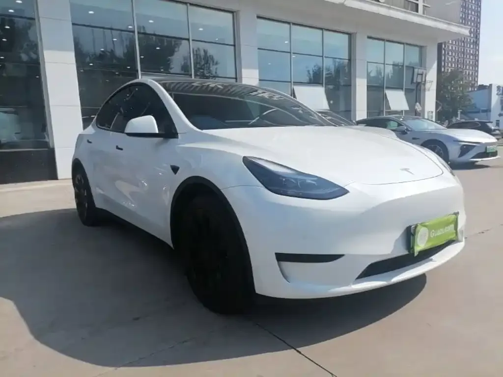 Tesla Model Y — фото 9