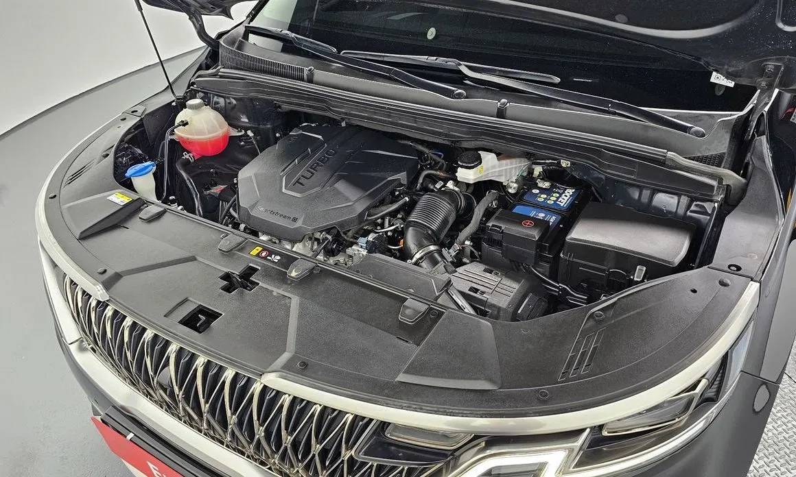 Kia Carnival — фото 10