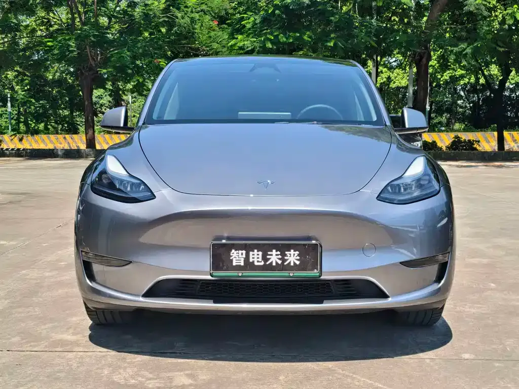Tesla Model Y — фото 2
