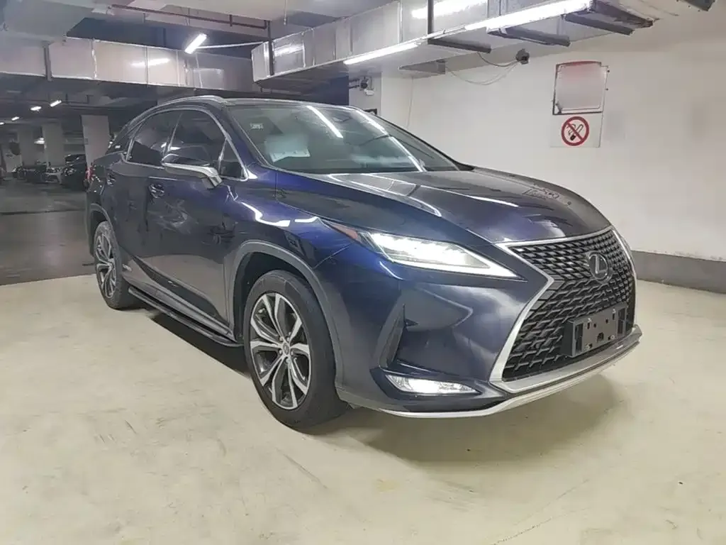 Lexus RX — фото 10