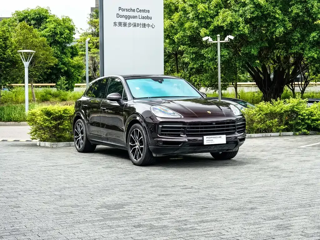 Porsche Cayenne — фото 10