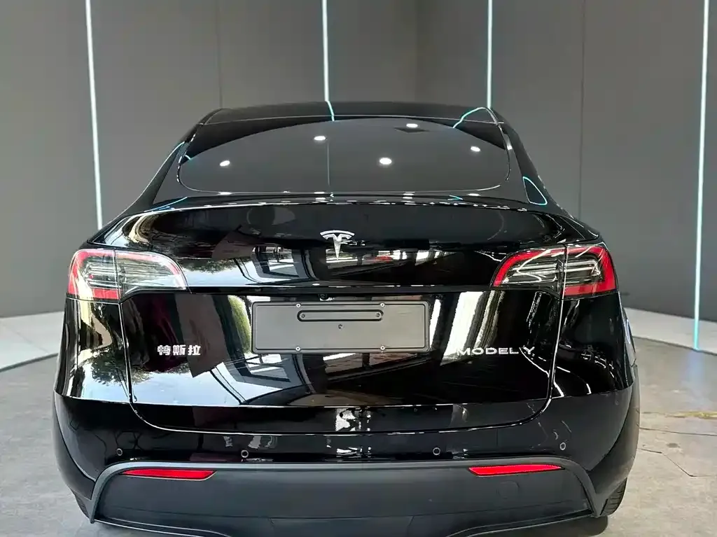 Tesla Model Y — фото 5