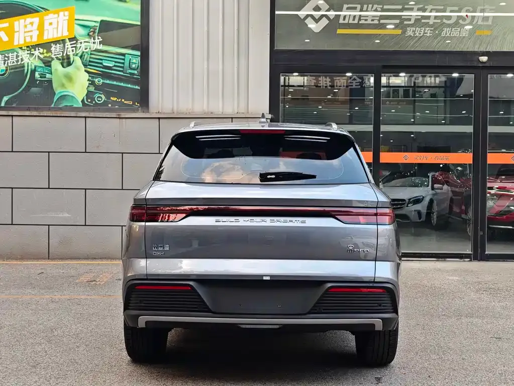 BYD Pro New Energy — фото 3