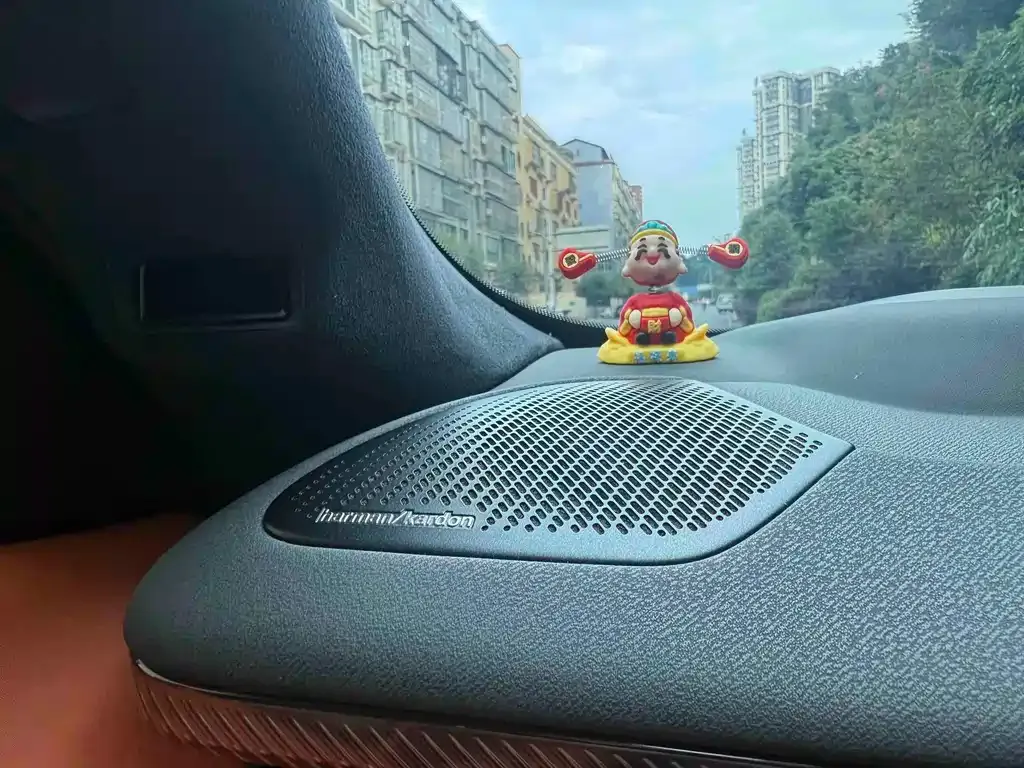 Lynk & Co 900 — фото 9
