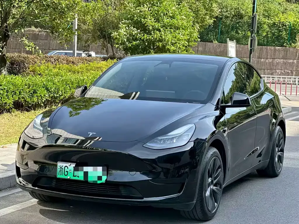 Tesla Model Y — фото 8