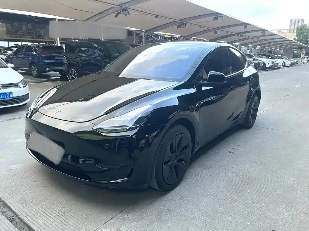 Tesla Model Y — фото 1