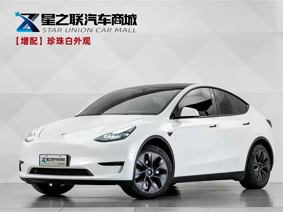 Tesla Model Y — фото 1