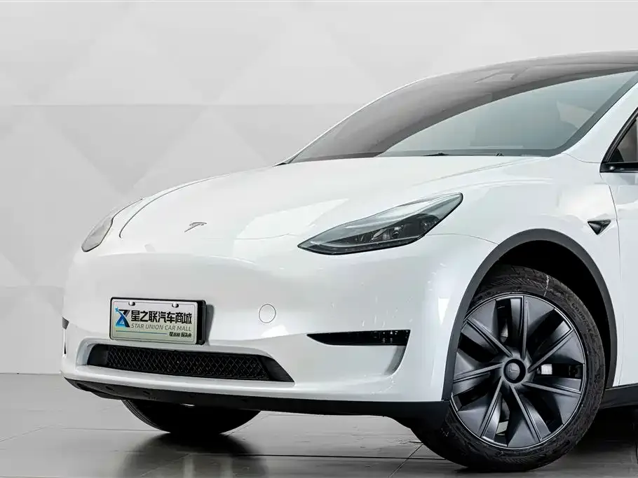 Tesla Model Y — фото 8