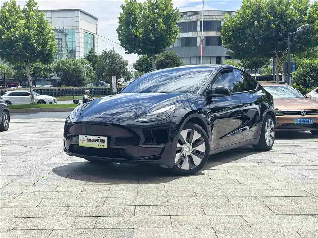 Tesla Model Y — фото 1