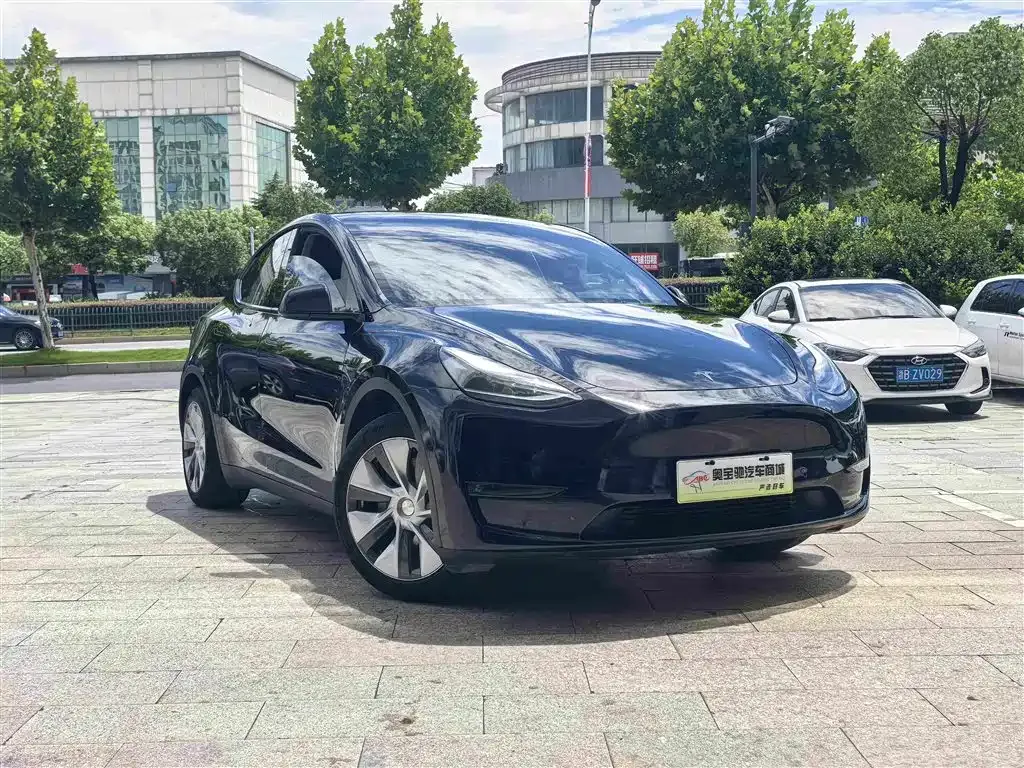 Tesla Model Y — фото 8