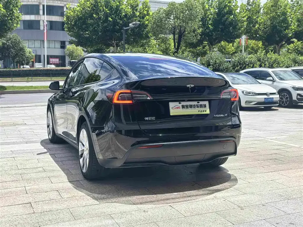 Tesla Model Y — фото 4