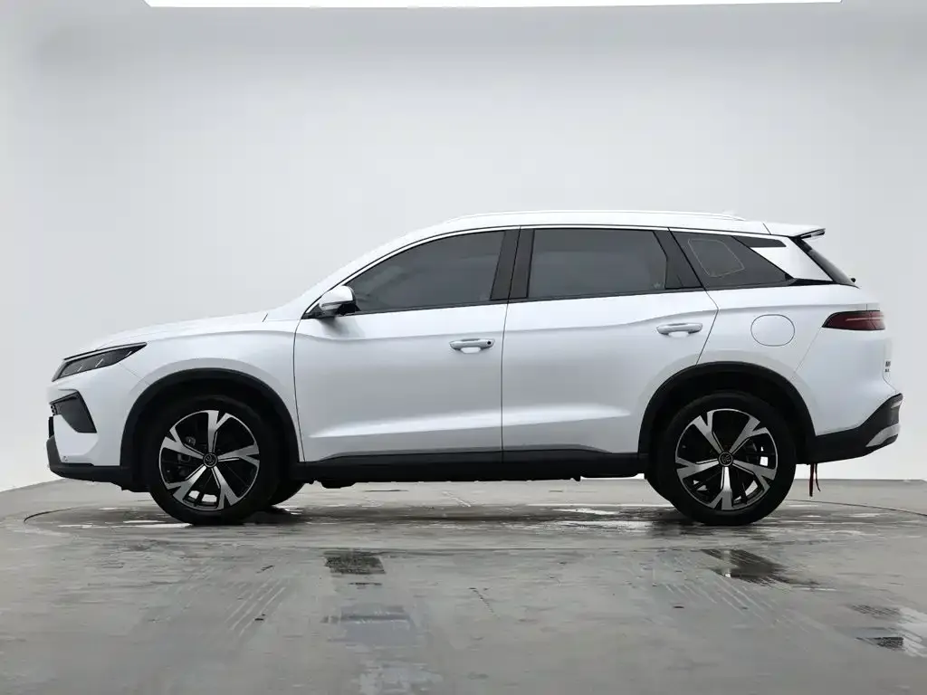 BYD Pro New Energy — фото 10