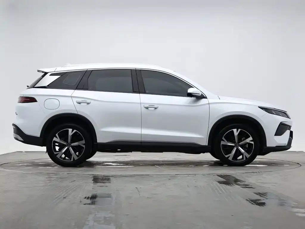 BYD Pro New Energy — фото 6