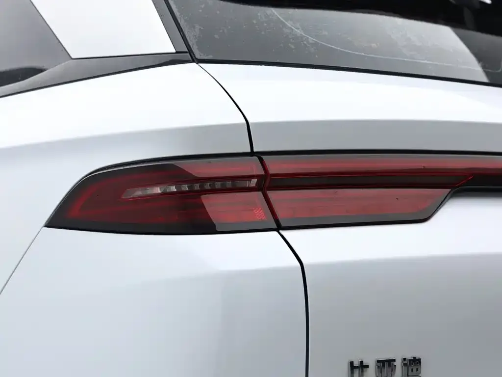 BYD Pro New Energy — фото 2