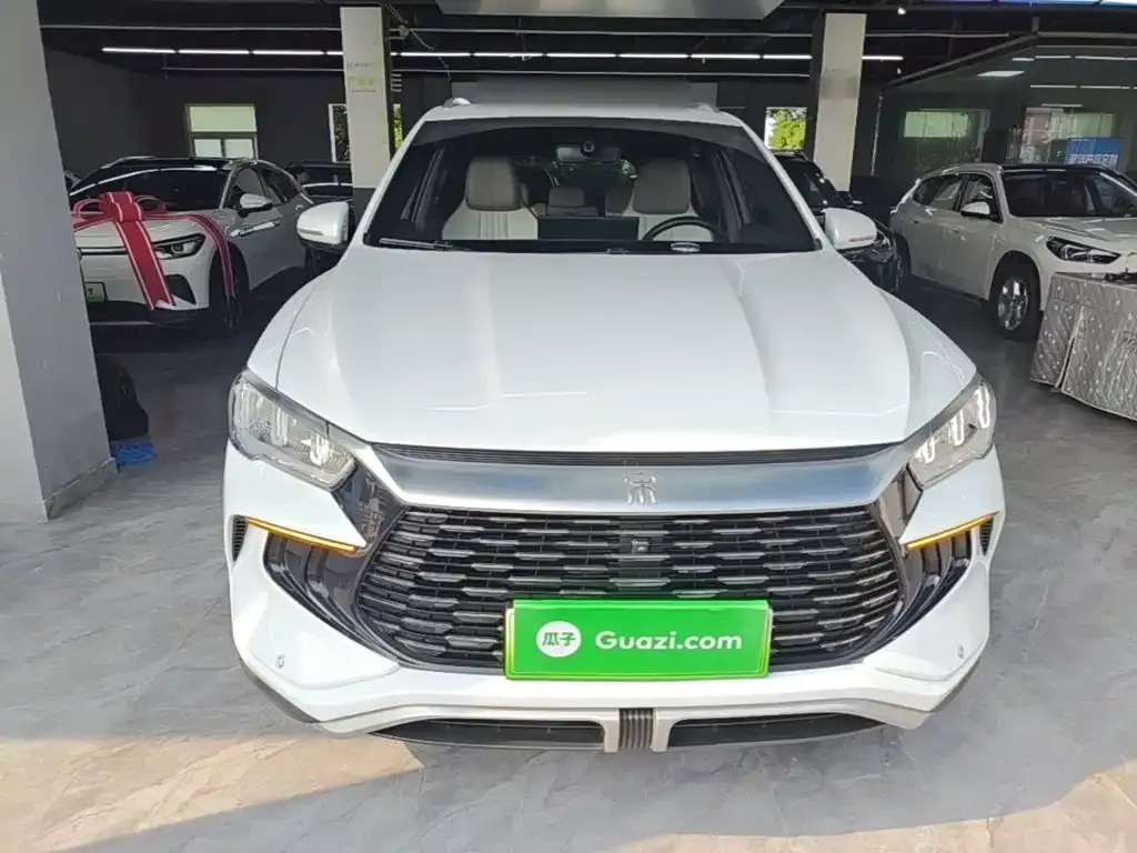 BYD Pro New Energy — фото 5