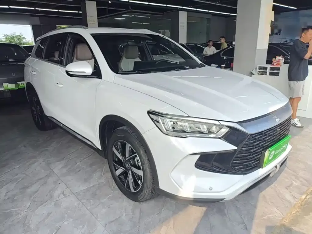 BYD Pro New Energy — фото 9