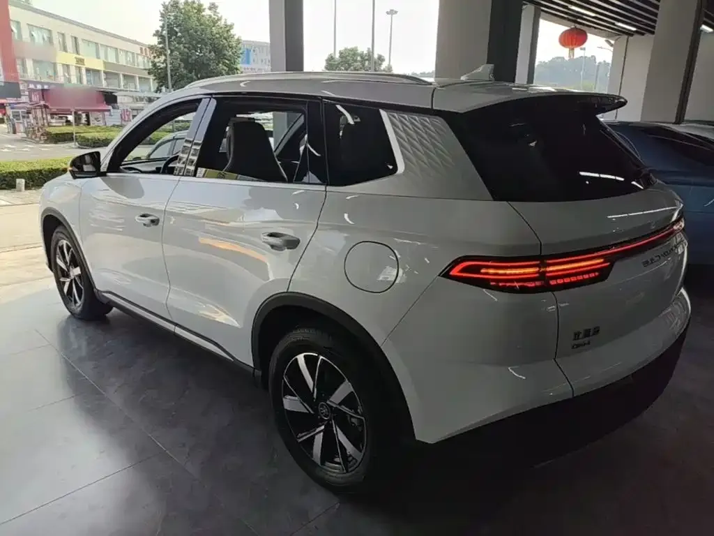 BYD Pro New Energy — фото 10