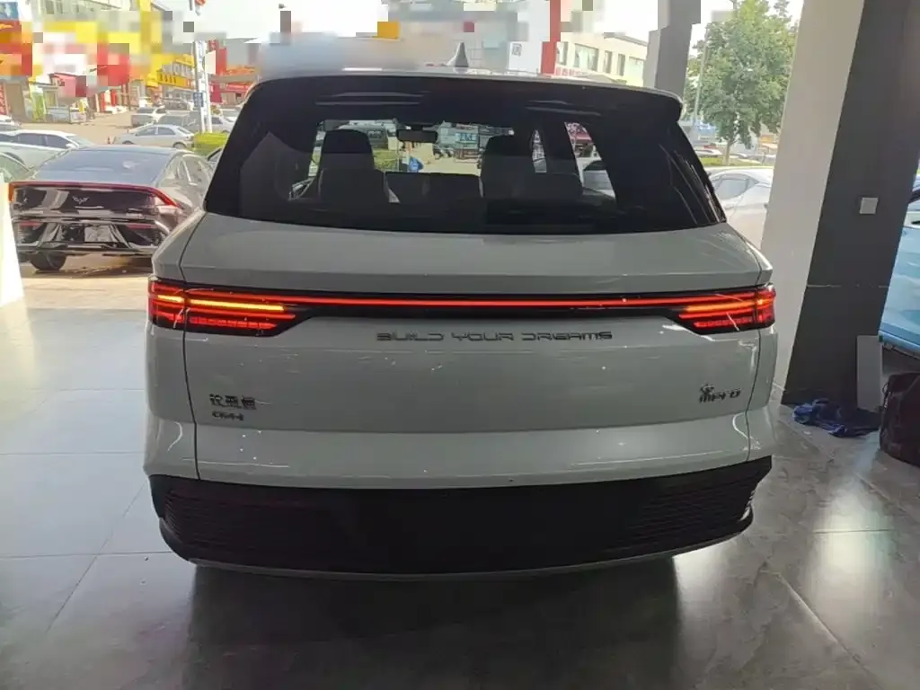 BYD Pro New Energy — фото 3