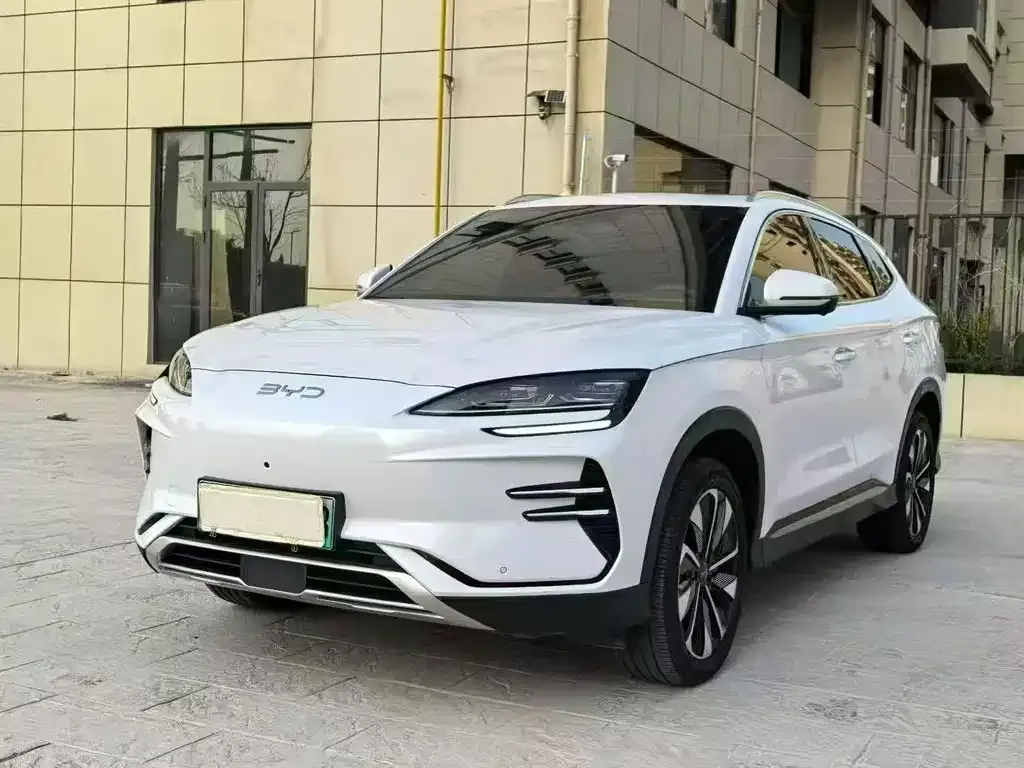 BYD PLUS New Energy — фото 1