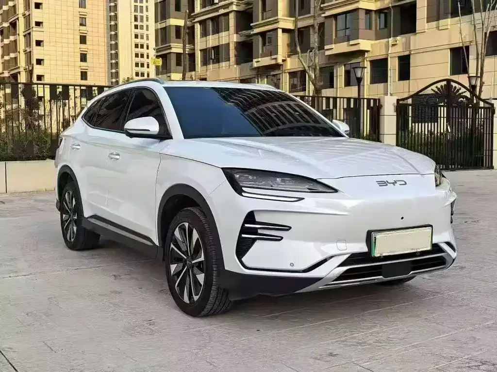 BYD PLUS New Energy — фото 8