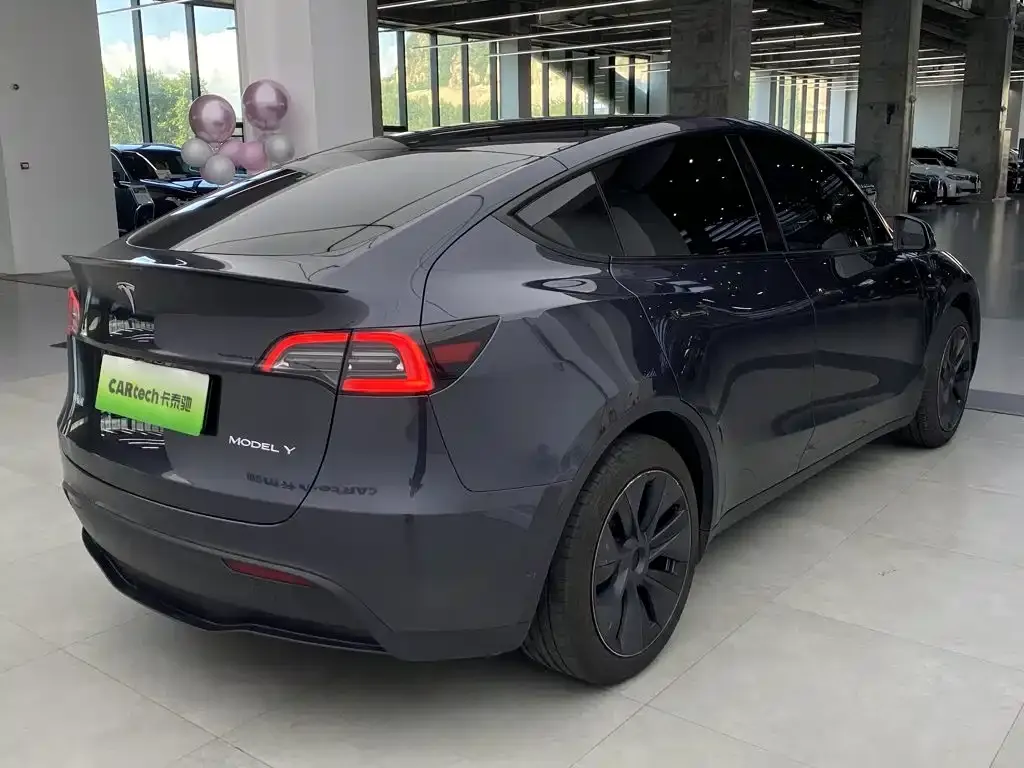 Tesla Model Y — фото 10