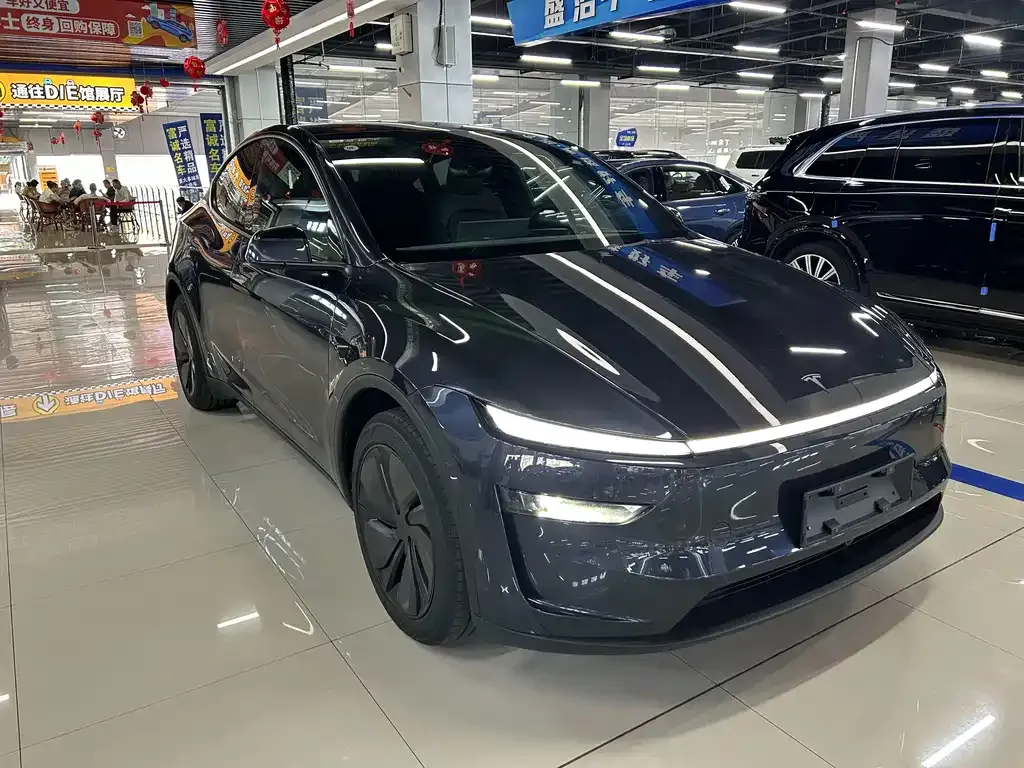 Tesla Model Y — фото 9