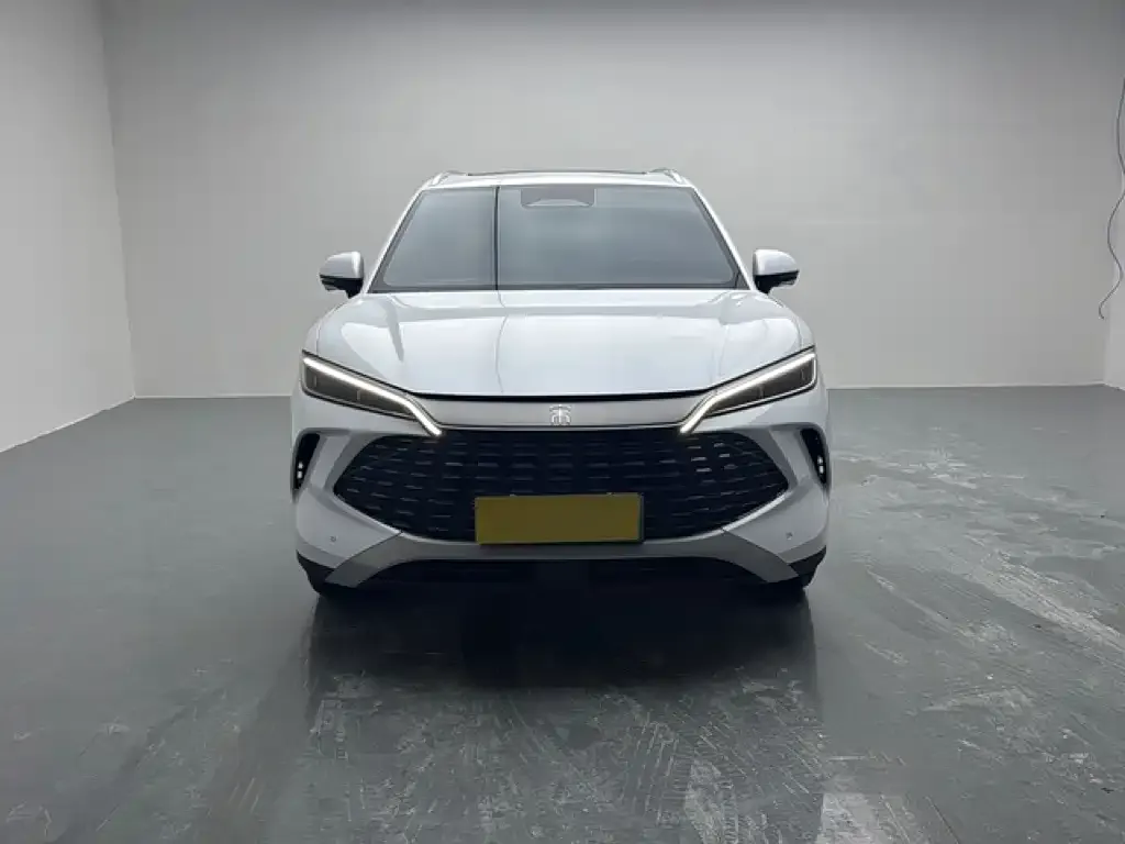 BYD L DM-i — фото 7