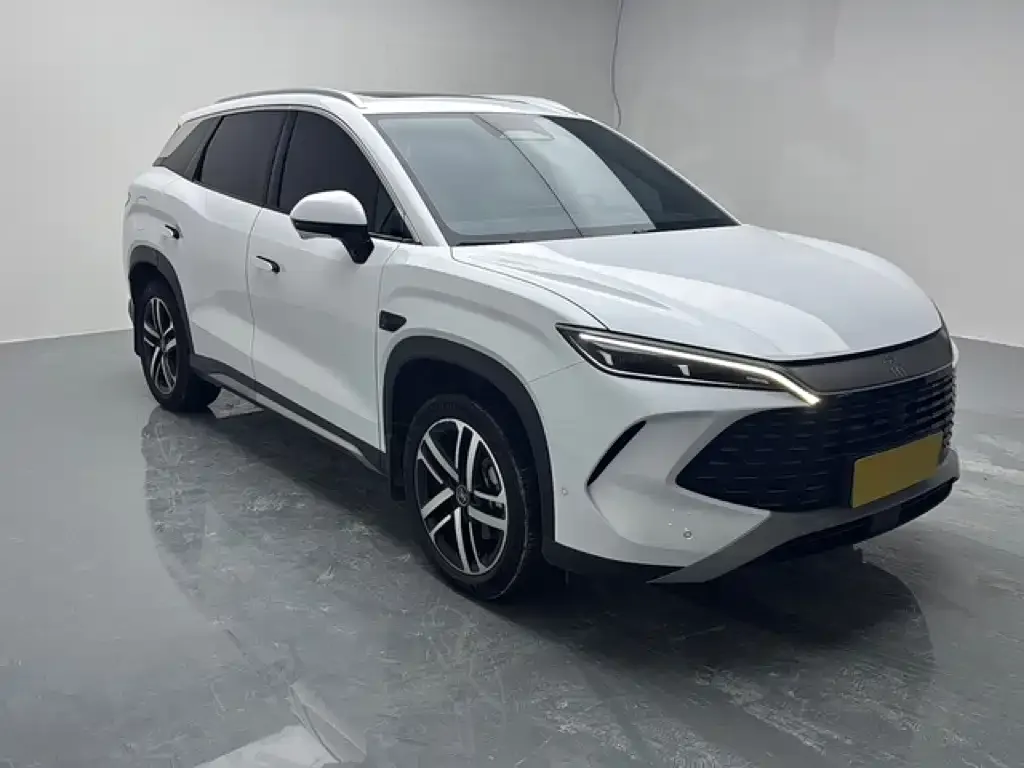BYD L DM-i — фото 6