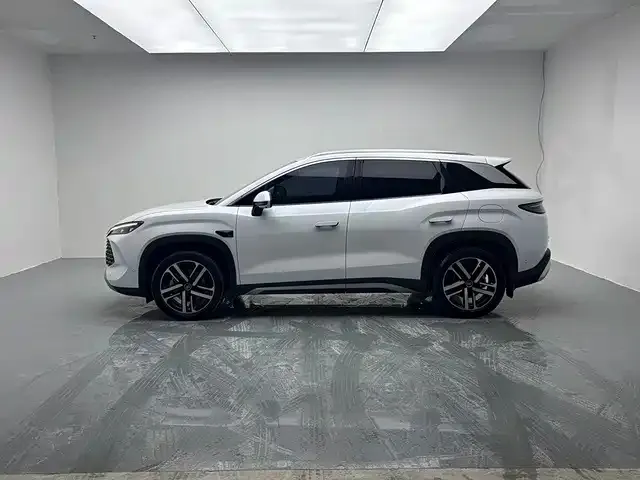 BYD L DM-i — фото 10