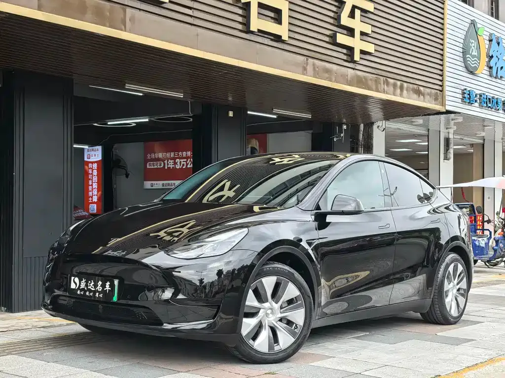 Tesla Model Y — фото 1