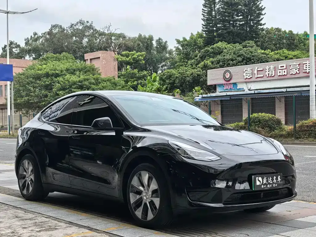 Tesla Model Y — фото 9