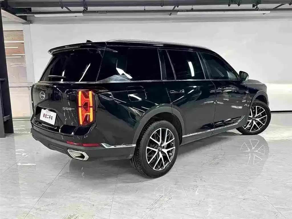 GAC Motor Trumpchi GS8 — фото 2