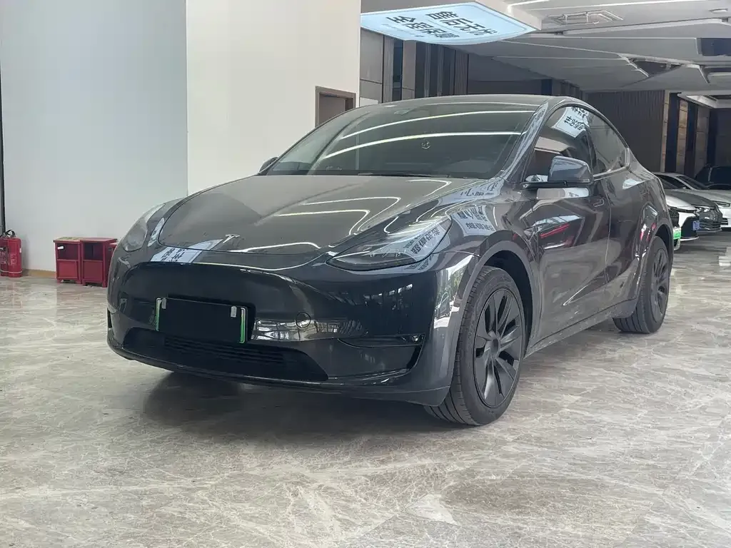Tesla Model Y — фото 1