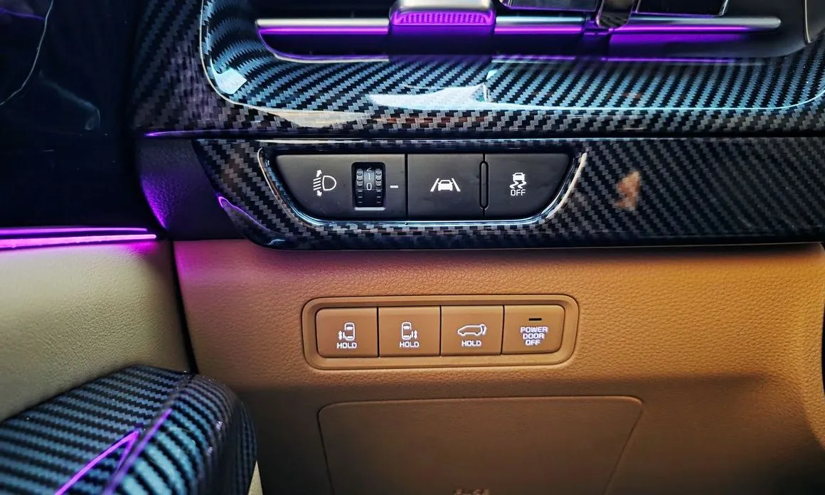 Kia Carnival — фото 10