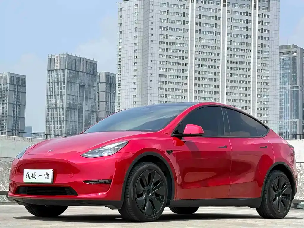 Tesla Model Y — фото 1
