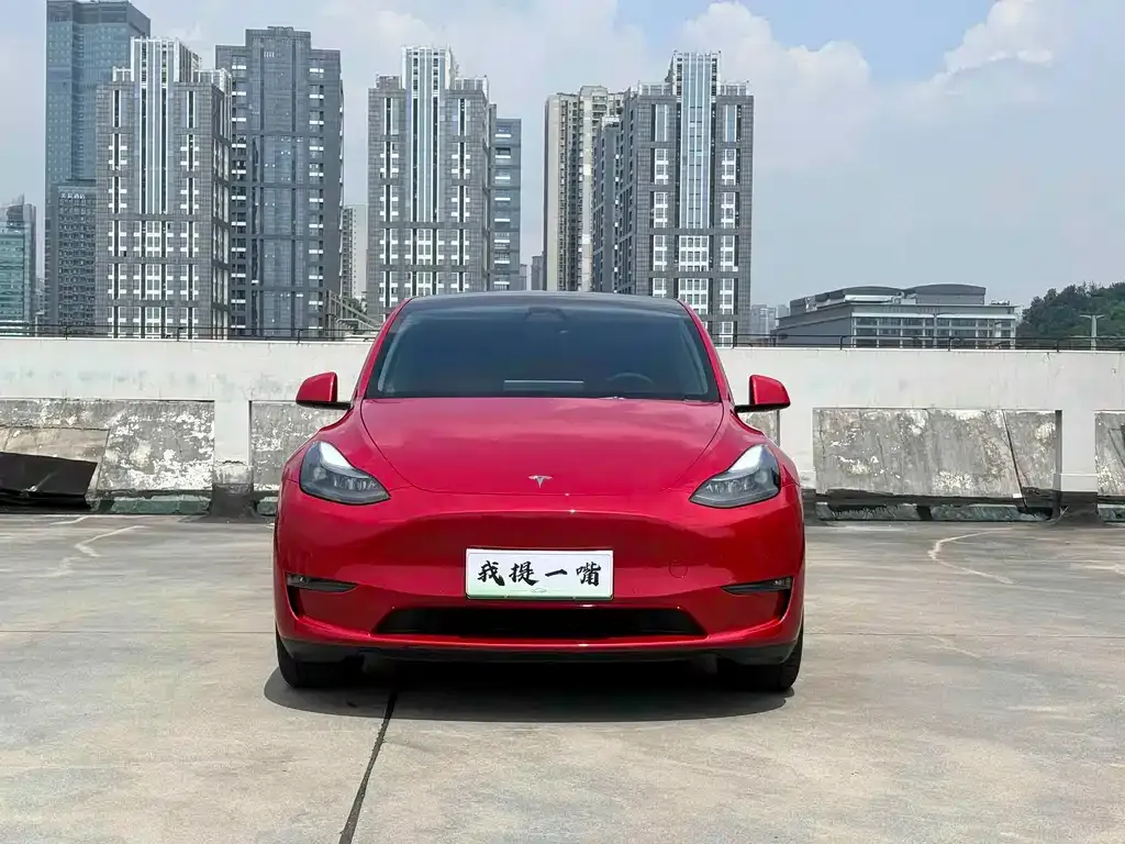 Tesla Model Y — фото 9