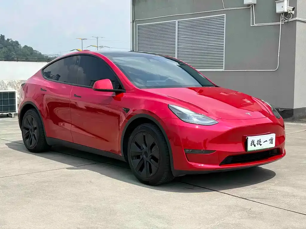 Tesla Model Y — фото 10