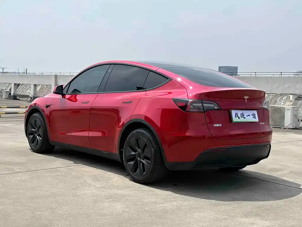 Tesla Model Y — фото 3