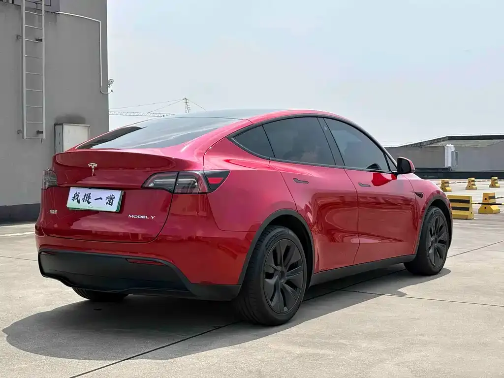 Tesla Model Y — фото 4