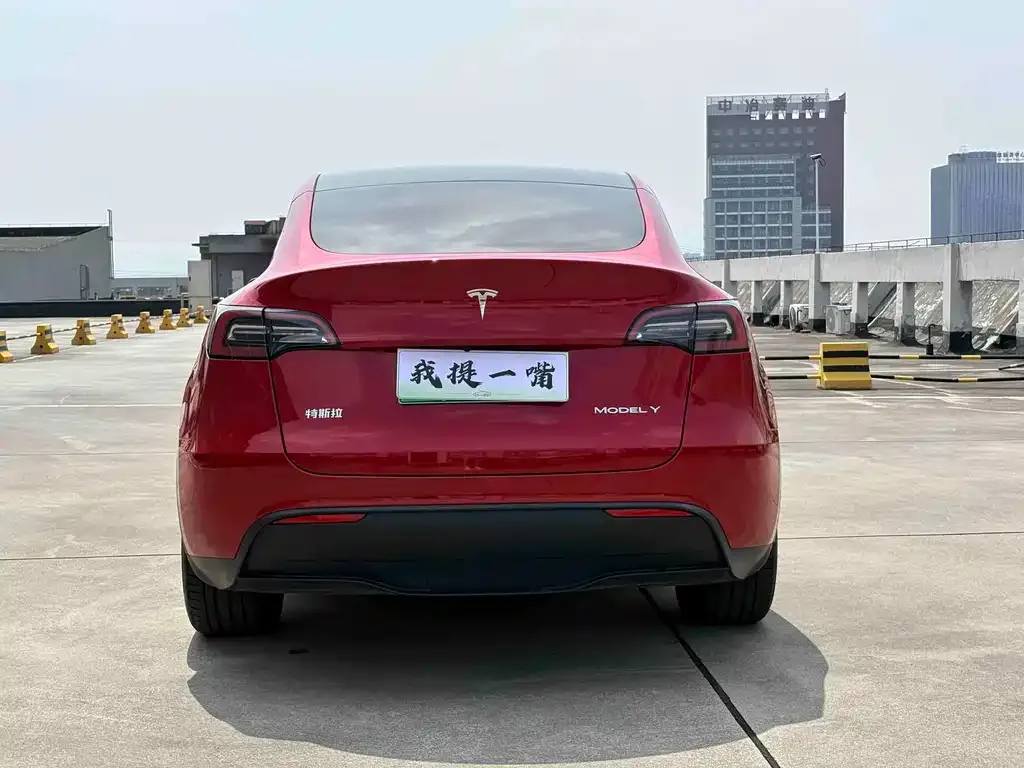 Tesla Model Y — фото 7