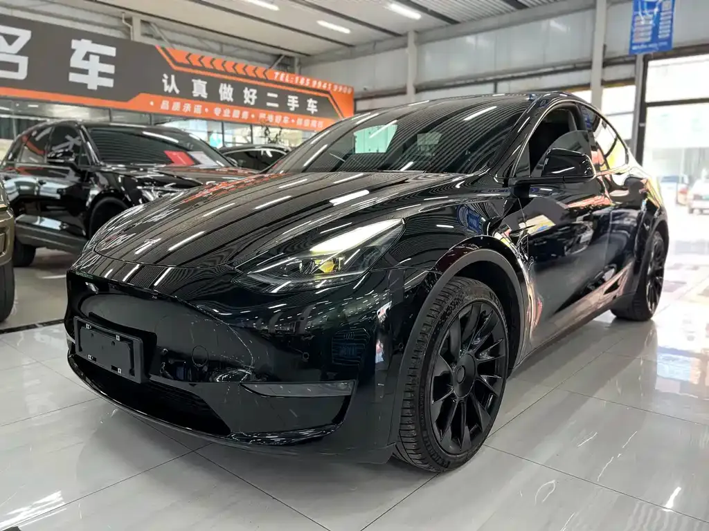 Tesla Model Y — фото 1
