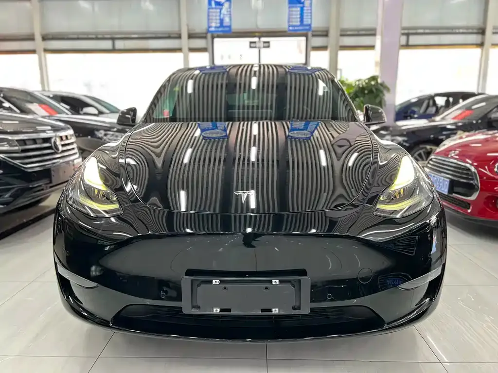 Tesla Model Y — фото 3