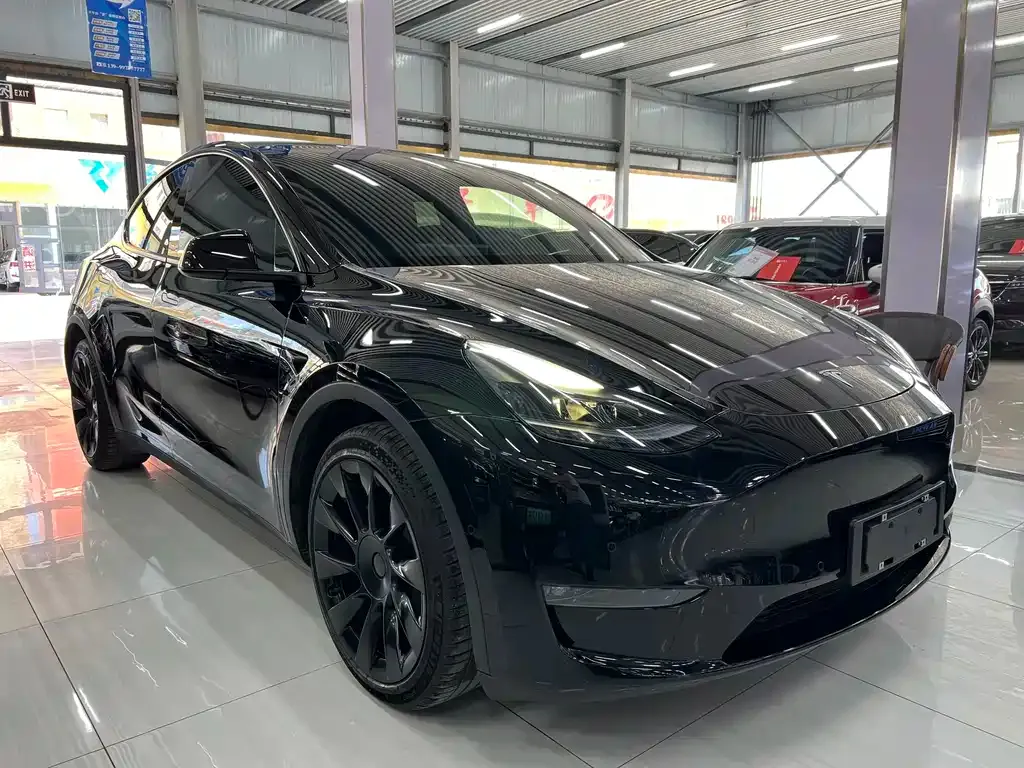 Tesla Model Y — фото 2