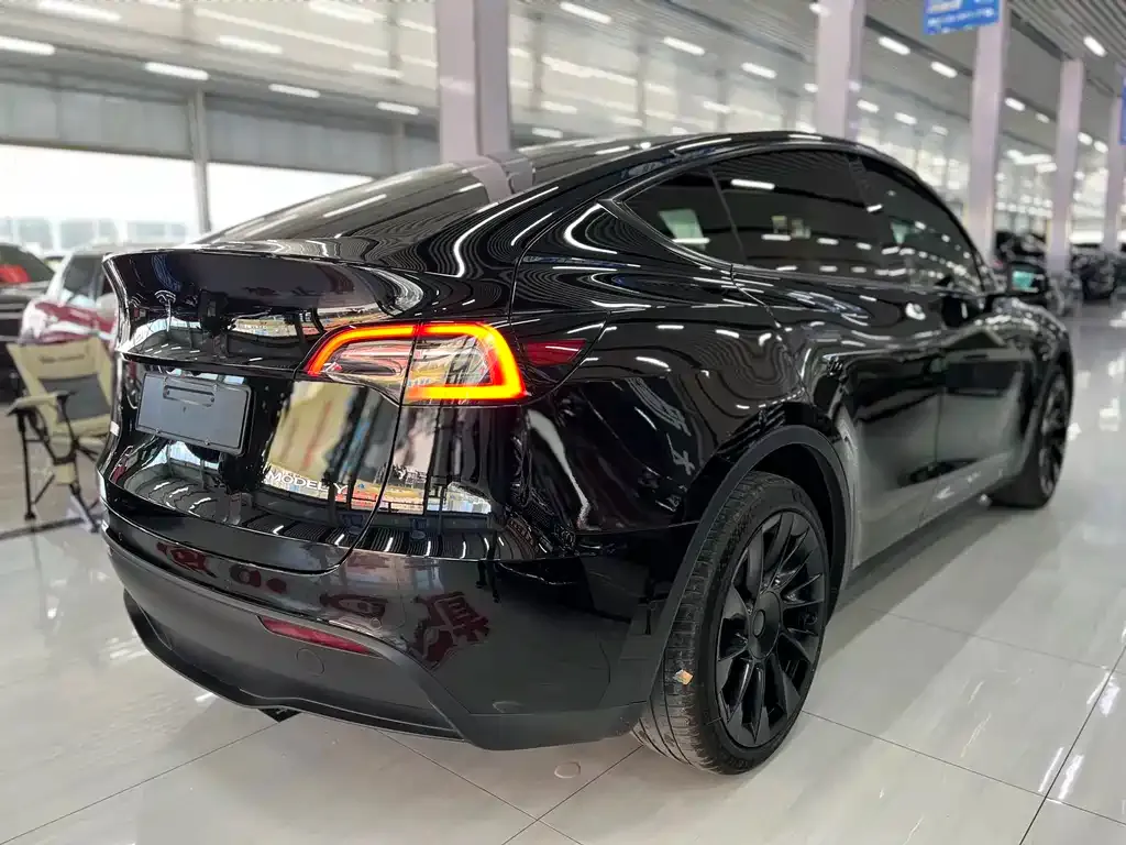 Tesla Model Y — фото 9