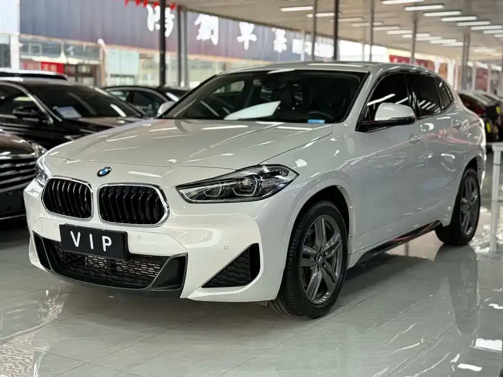 BMW X2 — фото 1